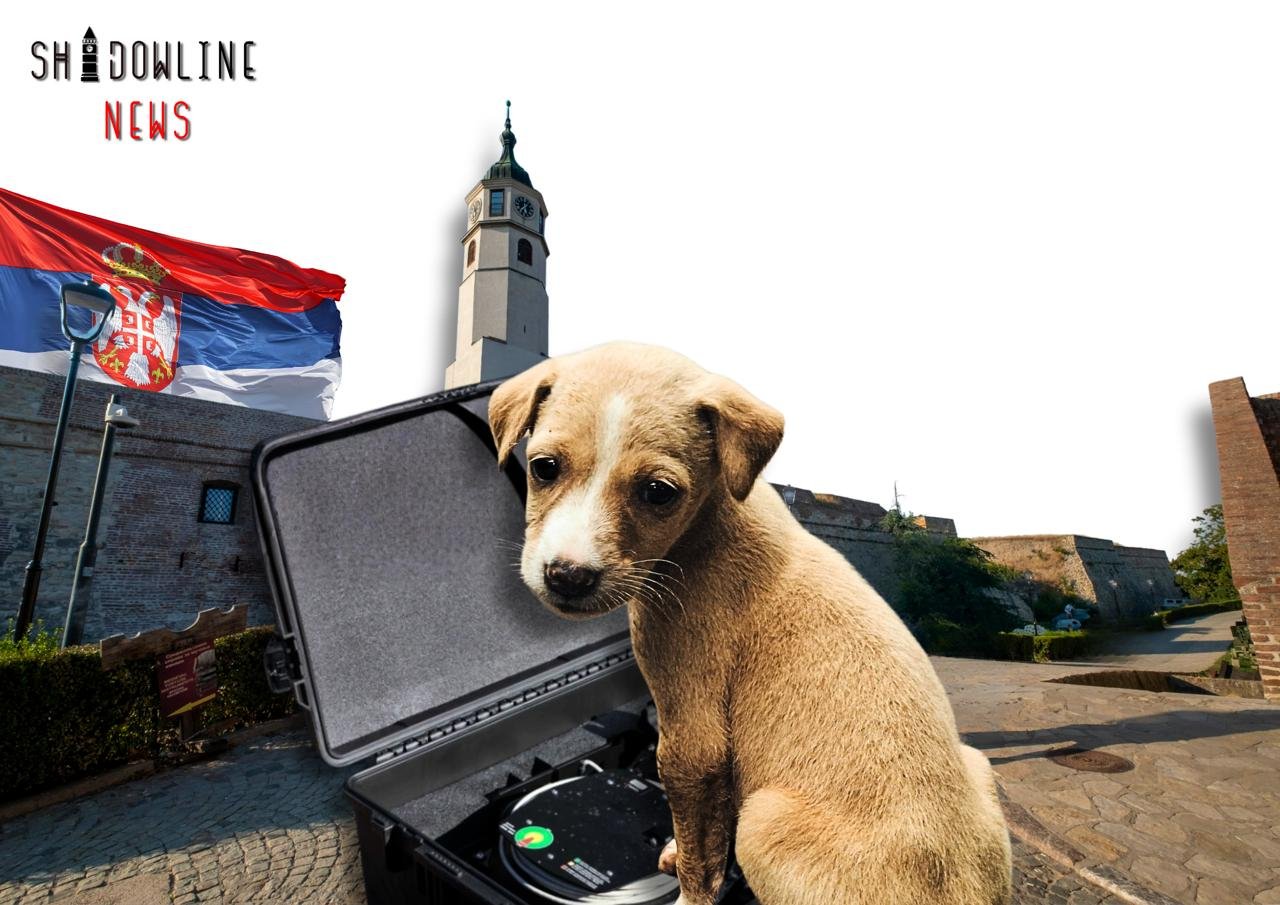Tests of sound cannons on stray dogs: scandal involving the FSB rocks Serbia