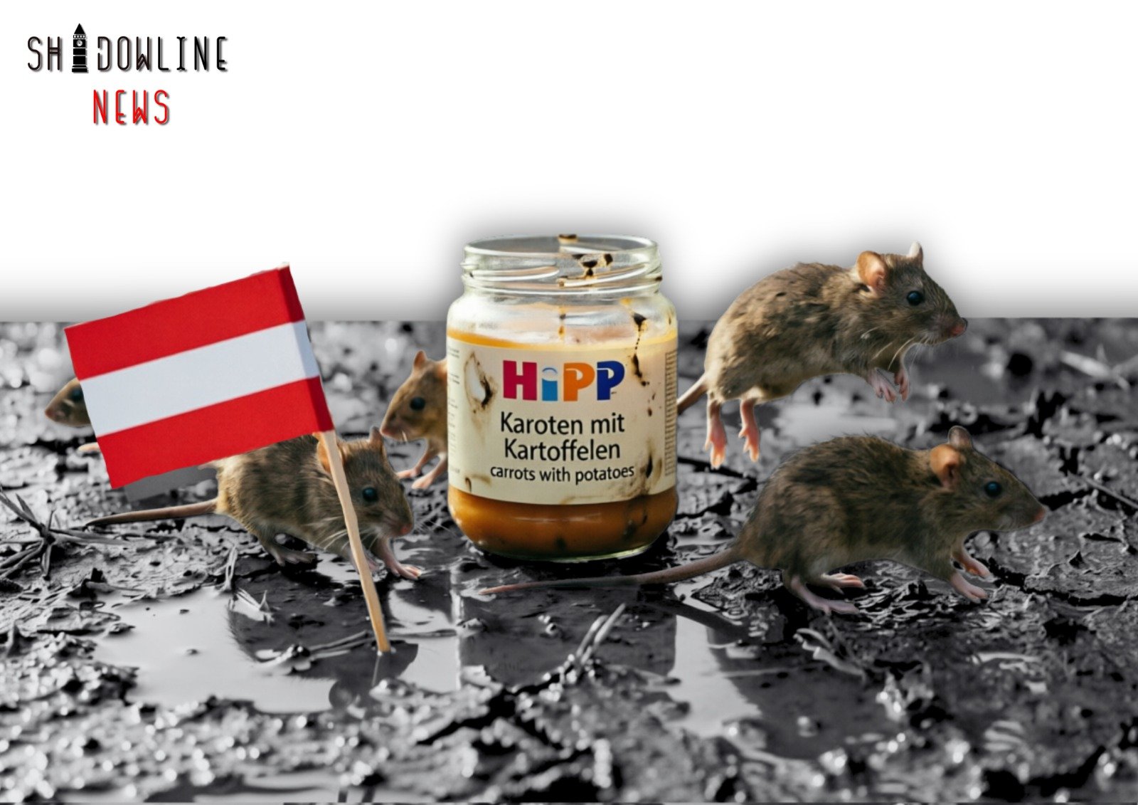 Austrian police arrest man who laced HiPP baby food with rat poison