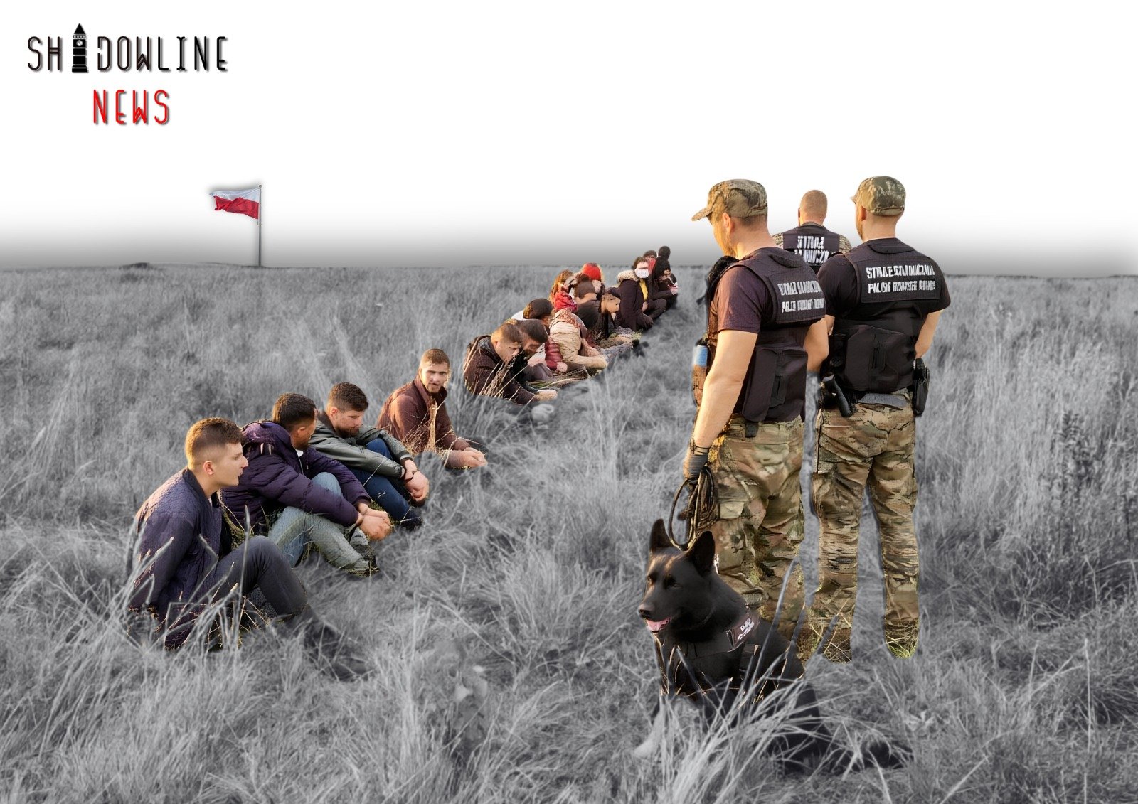 Poland records sharp rise in attempts to illegally cross border with Belarus